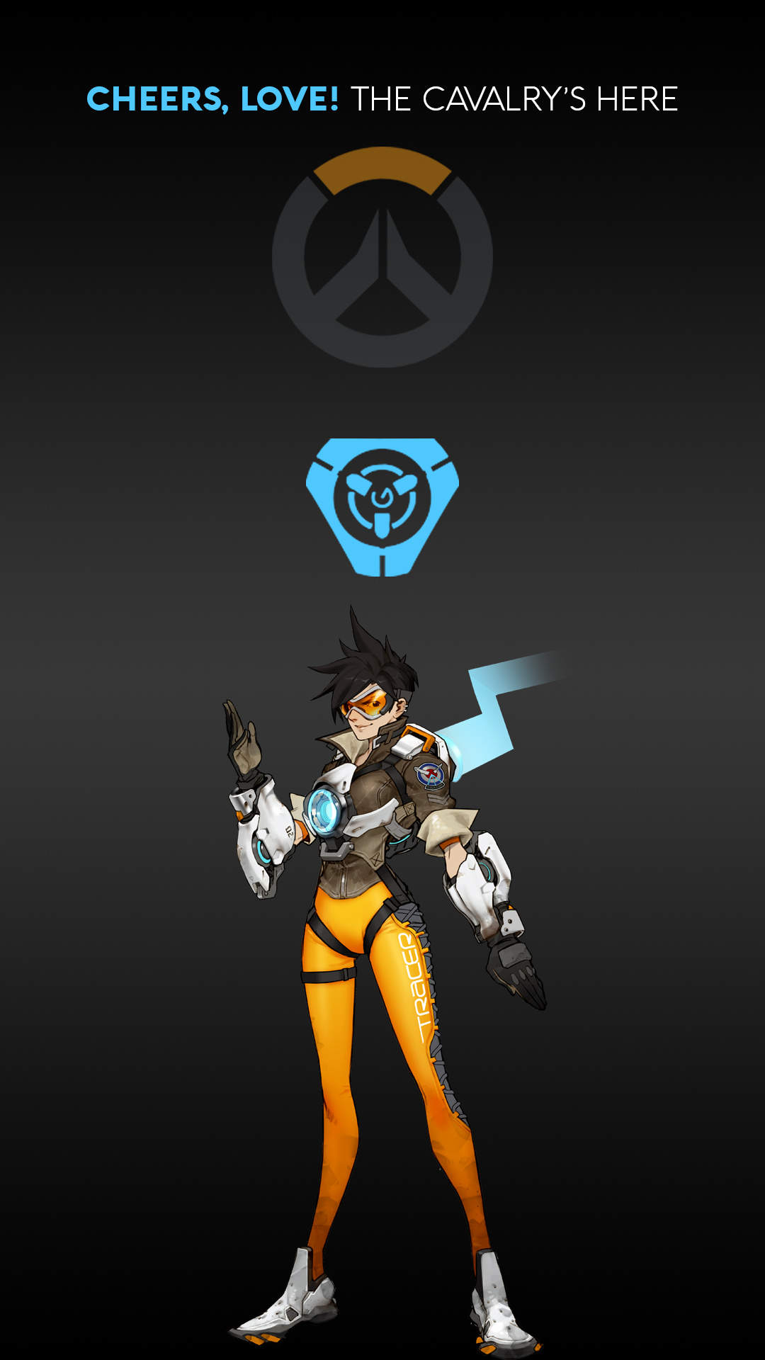 多元文化的 多元文化的