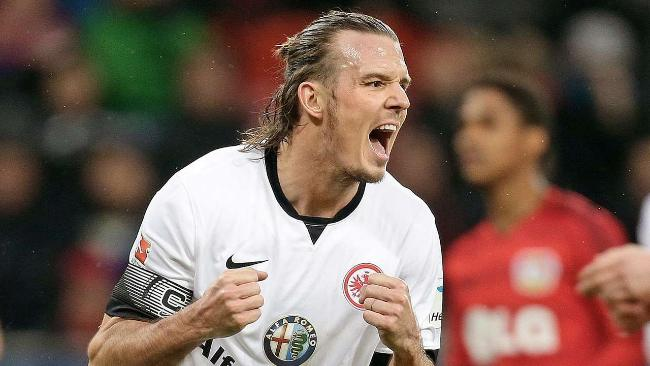 到显著提高 到显著提高